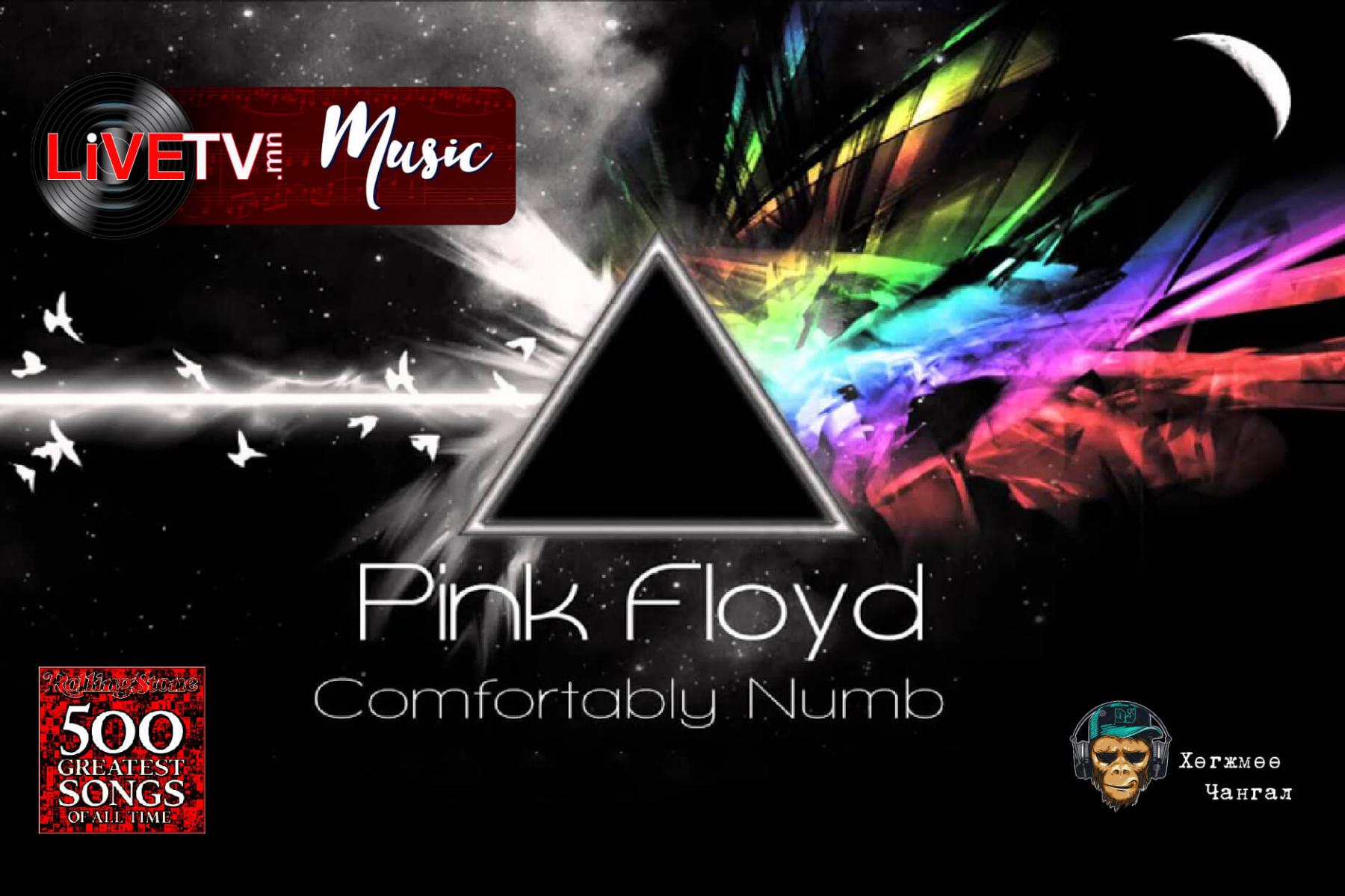 Pink Floyd - Comfortably Numb